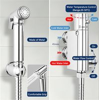Meilleure Vente : Ensemble de Douche Bidet Thermostatique de Luxe en Or Brossé avec Douchette à Main pour Toilettes, Hygiène Personnelle et Douche Musulmane