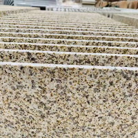 Vente chaude carrelage de granit aiguisé granit doré poli pas cher Huangjinma matériel de pierre granit de pierre naturelle pour les escaliers