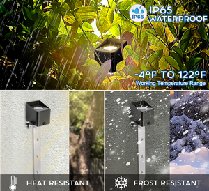 Склад США LT9102P низкое напряжение 9-17 В AC/DC 3 Вт 240 лм - Product Image 6