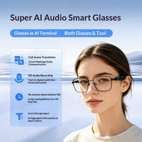 Occhiali Smart AI OEM con Traduzione in Tempo Reale, Trascrizione Riunioni, Riproduzione Musica, Solo 30g Ultra-leggeri