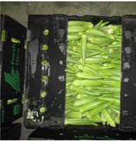 Recyclable et réutilisable PP boîte en plastique ondulé stockage des aliments pour légumes Fruits maïs gombo boîte d'emballage