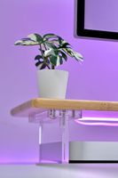 Support de moniteur en bambou avec étagère de bureau avec lumières RVB avec supports de pieds en acrylique pour bureau