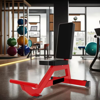 Chaise de musculation fixe professionnelle pour presse d'épaules, banc utilitaire vertical