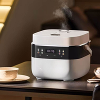 Appareils de cuisine de haute qualité 2026 en gros, cuiseur à riz électrique multifonction 3L à faible teneur en sucre, appareil de cuisson sain