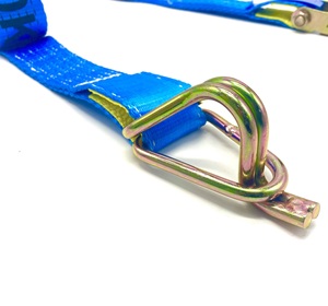 ES10042 Ratchet lega Giù con Gancio e Custode LC2500KG x 50mm x <span class=keywords><strong>9m</strong></span> - Product Image 3