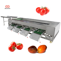 Gelgoog Palm Kernel Sorteermachine voor het sorteren van kersentomaten, fruitgrootte sorteren en kalibreren, machine voor het sorteren van fruit op grootte