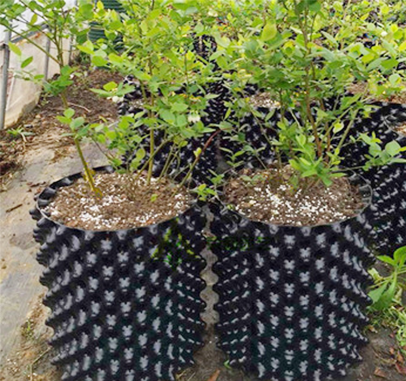 Pflanzen wurzel kontrolle Vermehrung strainer Fast Root Grow Container  Luftschnitt Hydro ponic Nersery Tpfe Baum Bonsai Transplantation werkzeug|  Alibaba.com
