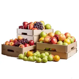 SANJIA 공장 맞춤형 디자인 과일을위한 저렴한 내구성 골판지 상자