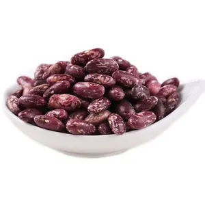 Chinesischer Großhandel Nihewan Long Shape Red Beans Speckled Pinto Kidney Beans