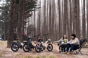 <span class=keywords><strong>Vélo</strong></span> électrique à pneus larges KOOLUX X16 <span class=keywords><strong>20</strong></span> <span class=keywords><strong>pouces</strong></span> avec batterie au lithium 48V 15.6Ah, moteur 250W, 7 vitesses, pliable pour les trajets hors route - Product Image 4