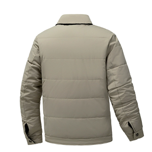 Veste en coton épaisse avec col rabattu, automne et hiver, chaude et résistante au froid, mode masculine, réversible - Product Image 2