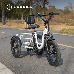Bicicleta Eléctrica de Carga con Neumáticos Gruesos, Batería LG720Wh, Capacidad de 150 kg, Freno Hidráulico, Suspensión Delantera, Canasta Trasera, Almacén en la UE - Product Image 1