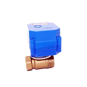 High quality Motorized electrical 2 way CPVC Brass and SS304 Valve with 5v 3.6v 12v 24v 110v 220v