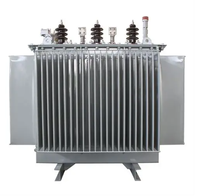 Transformateur de distribution de puissance immergé dans l'huile S13-M 125 kVA 13,8 kV-400 V 60 Hz pour le marché latino-américain