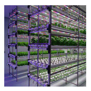Contenedor de Invernadero Sinok, Sistema Hidropónico, Agricultura <span class=keywords><strong>Vertical</strong></span> para <span class=keywords><strong>Lechuga</strong></span> y Verduras de Hoja, Granjas de Contenedores Hidropónicos NFT - Product Image 5