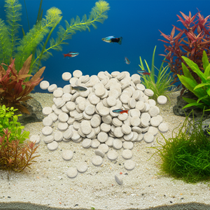 Inhibiteur de moisissure pour l'alimentation des poissons, <span class=keywords><strong>prévention</strong></span> de la moisissure, acides organiques, <span class=keywords><strong>prévention</strong></span> des toxines - Product Image 6