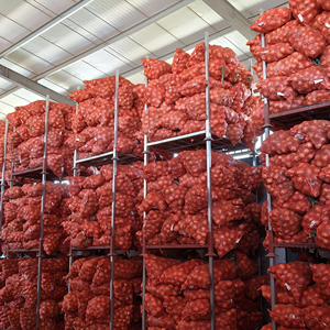 New Crop Fresh Red &amp; Yellow <strong>Onions</strong> | Wholesale Fresh Vegetables | Bulk Fresh <strong>Onions</strong> for Sale - Product Image 1