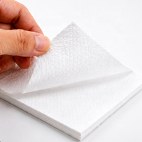 Zawada 30x30 cm 2-lagige Farbige Servietten im Beutel-Design Papierservietten für Catering, Party, Restaurant