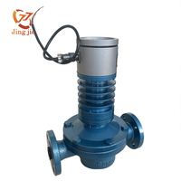 Factory Wholesale Custom Industrial Positive Displacement Oval Gear Flow Meter High Precision Diesel Fuel Liquid Flow Meter