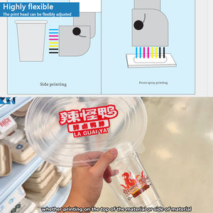 शीर्ष प्रिंटिंग मशीन सिंगल पास प्रिंटर पर बोतल और बॉक्स साइड लंच बॉक्स के लिए CSJ-G502C हॉट सेल यूवी कप साइड डिजिटल प्रिंटर - Product Image 2