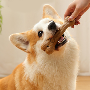 Kemik şeklinde dayanıklı çam ahşap Pet köpek çiğnemek oyuncak eğlence gevşeme ve diş temizleme için çevre dostu interaktif oyuncak - Product Image 1