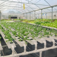 Système de culture hydroponique vertical NFT Seedafarm à haut rendement, haute rigidité, facile à utiliser, pour serres domestiques et fermes, 3 mois