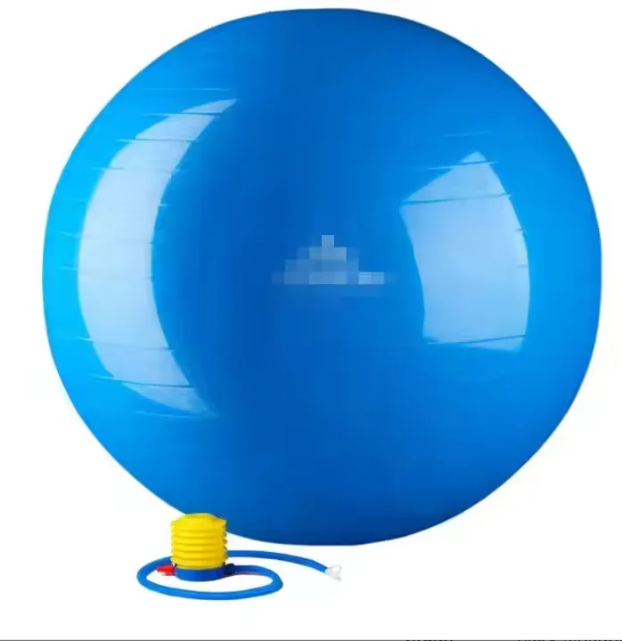 Wholesale Custom Logo Eco-Friendly Home Gym PVC Small Yoga Pilates Exercise Fitness Ball