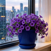 Pot de fleurs circulaire moderne en PP de haute qualité avec trous de drainage, durable, capacité de 1,46 L, pour utilisation suspendue en extérieur/intérieur, pour le jardinage et la maison
