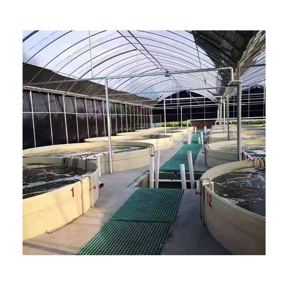 Рыба, креветка и краб RAS Tilapia сельское хозяйство оборудование для наземного пруда система рециркуляции аквакультуры outсохранители