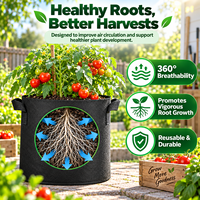 Sac de culture en tissu non tissé avec poignées robustes, pot de plantation à élagage aérien, 10 et 20 gallons, pour légumes de jardin, directement de l'usine
