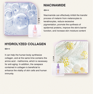 Etichetta privata all'ingrosso pura cura della pelle collagene lumaca acido ialuronico vitamina C Niacinamide retinolo siero facciale - Product Image 4
