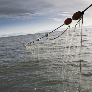 Filet de pêche professionnel à mailles de 1,5 pouce, trame à 3 couches, pour l'attraction de gros poissons, sélection tendance 2026 - Product Image 1