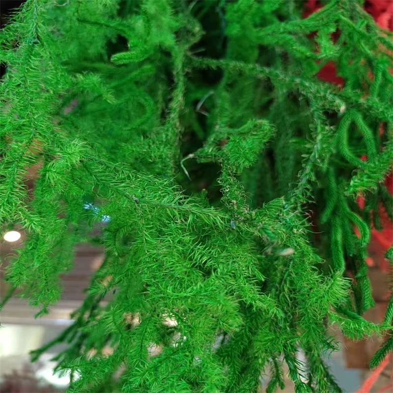 Vert