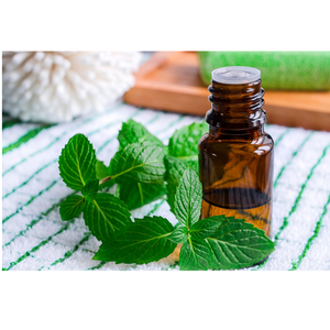 Huile essentielle de menthe poivrée naturelle, huile végétale pure, huile aromatique à la menthe fraîche pour les soins de la peau et des cheveux, aromathérapie et usage cosmétique, approvisionnement en vrac - Product Image 2