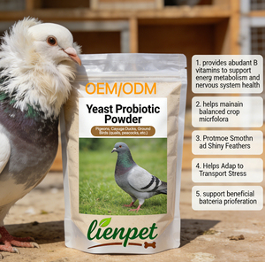 Poudre de probiotiques à base de levure pour <span class=keywords><strong>pigeons</strong></span> et canards, complément alimentaire pour canards, poulets et volailles - Product Image 3