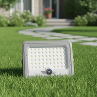 Projecteur solaire LED COB 100W étanche IP65 pour extérieur avec garantie de 2 ans, haute luminosité pour l'éclairage de jardin et de paysage