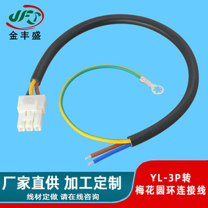 JFS Golden Peak YL 3-Pin Grounding Terminal Wire 2-Core Pure Copper Ring Terminals For Home Appliances And Air Purifiers - Product Image 2