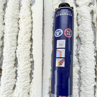 Mousse de polyuréthane imperméable à haute résistance de liaison