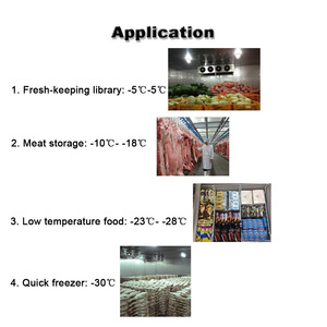 Nueva cámara frigorífica a prueba de explosiones para el almacén de mantenimiento fresco para verduras, frutas, carne, mariscos, compresor Copeland de 380V - Product Image 6