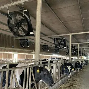 Invernadero Granja de aves de corral Circulación ventilador de escape granja ventilador de ventilación montado en la pared