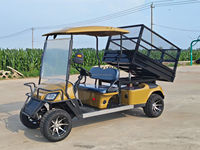 Voitures de golf électriques 2 places, buggy 4x4, batterie lithium 48V/72V, voiture de patrouille électrique, éclairage de golf