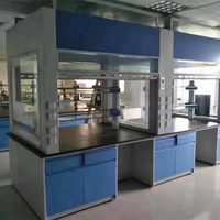 Hotte de laboratoire de table, armoire de ventilation de laboratoire résistante aux acides et aux alcalis pour écoles et laboratoires chimiques