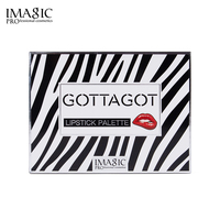 IMAGIC professionnel maquillage des lèvres cosmétique 20 couleurs maquillage quotidien maquillage de fête longue durée étanche rouge à lèvres Palette
