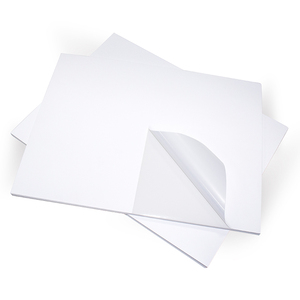 <span class=keywords><strong>A4</strong></span> lettera formato 8.5x11 pollici trasporto libero <span class=keywords><strong>etichette</strong></span> di carta adesivo foglio di adesivi di codici a barre di trasporto libero/mailing/indirizzo <span class=keywords><strong>etichette</strong></span>