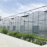 Serre agricole multi-chapelles en film, solution clé en main pour la culture hydroponique de tomates, à vendre