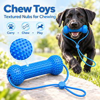 Brosse à dents pour animaux de compagnie OEM personnalisée en gros, bâtonnet à mâcher dentaire et brosse à dents rapide pour un nettoyage facile des dents et l'élimination de la plaque dentaire chez les chiens et les chats