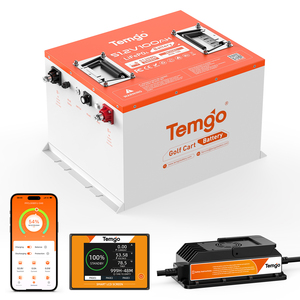 48V 100Ah 锂电池电动高尔夫球车电池替换件，适用于雅马哈、EZGO、Club Car、ICON、Star EV、Polaris - Product Image 2