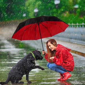 <b>Windproof</b> 3 Folding Automatic <b>Umbrella</b> Travel Foldable <b>Umbrella</b> <b>Umbrella</b> with Fan - Product Image 2