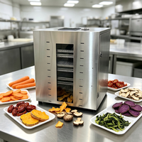 Commerciële RVS Voedseldehydrator met Meerdere Trays voor Fruit, Groenten, Vlees en Gedroogd Vlees