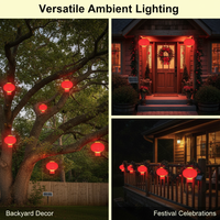 Lanternes solaires certifiées IP65, éclairage économe en énergie pour la décoration de jardin et de fêtes, certifiées CE, garantie de 2 ans, lanterne chinoise